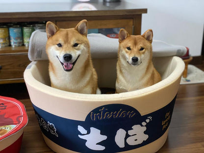 Noodle Cup Dog Bed