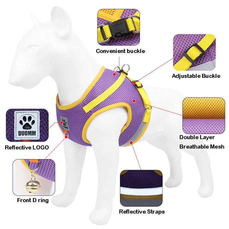 Reflective Safety Dog Harness and Leash Set