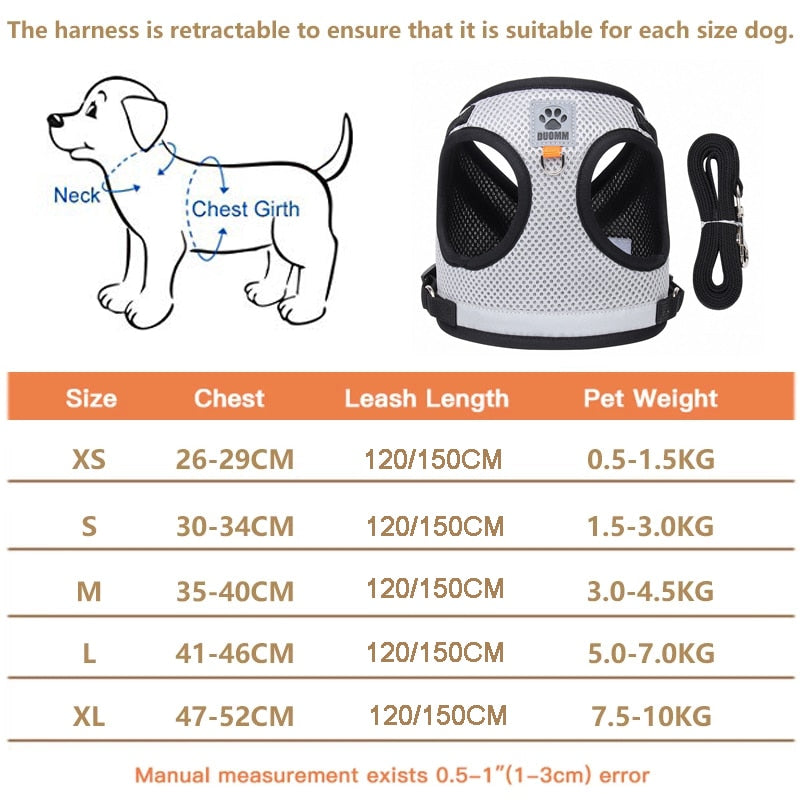 Reflective Safety Dog Harness and Leash Set