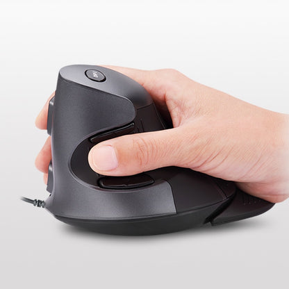 Delux Ergonomic Mouse