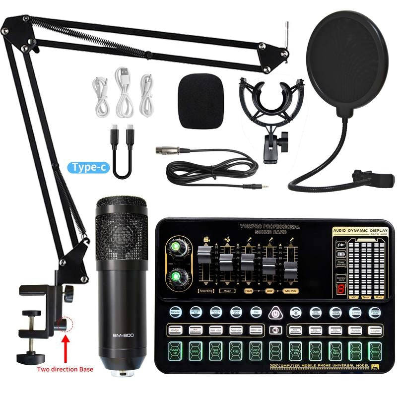 Professional Wireless Microphone