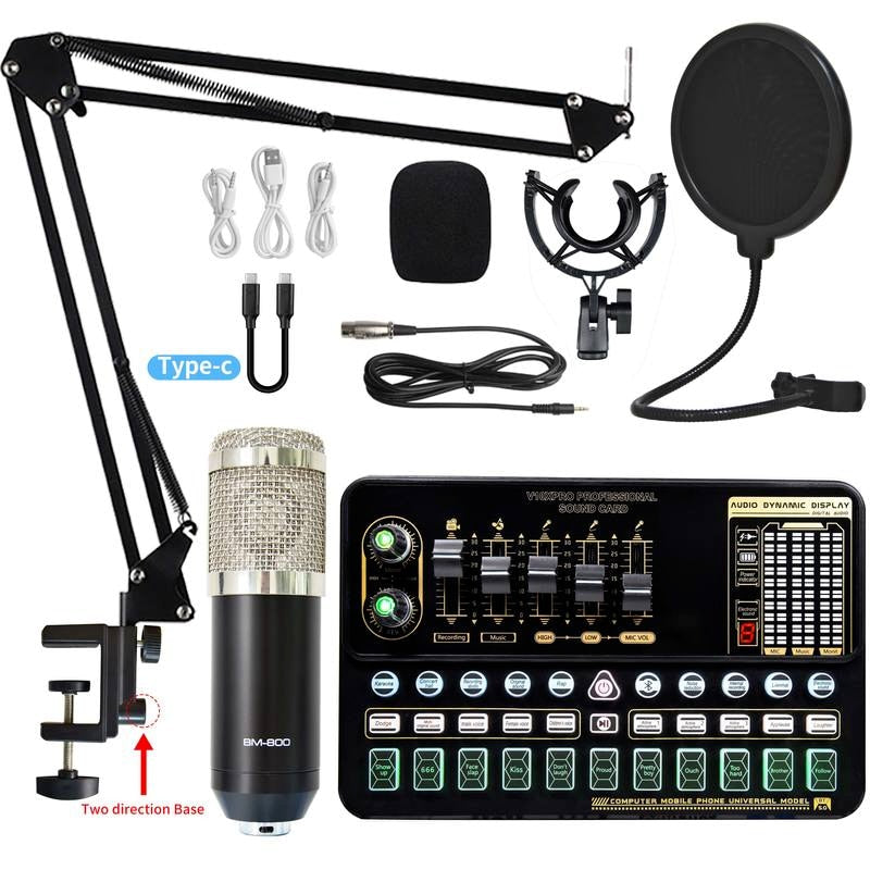 Professional Wireless Microphone