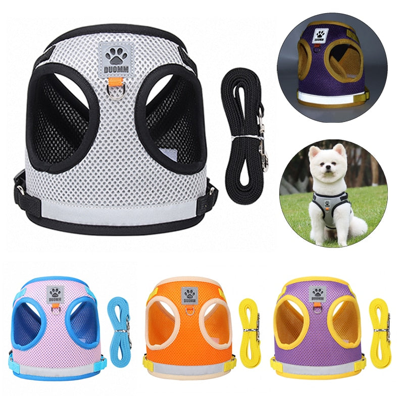 Reflective Safety Dog Harness and Leash Set